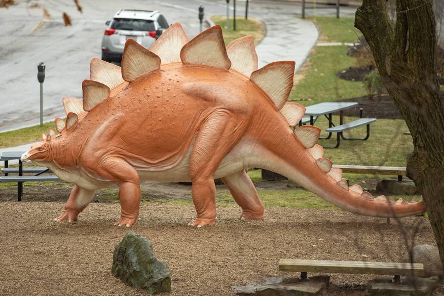 'Steggie' the Stegosaurus is the unofficial mascot of Cleveland Museum of Natural History.